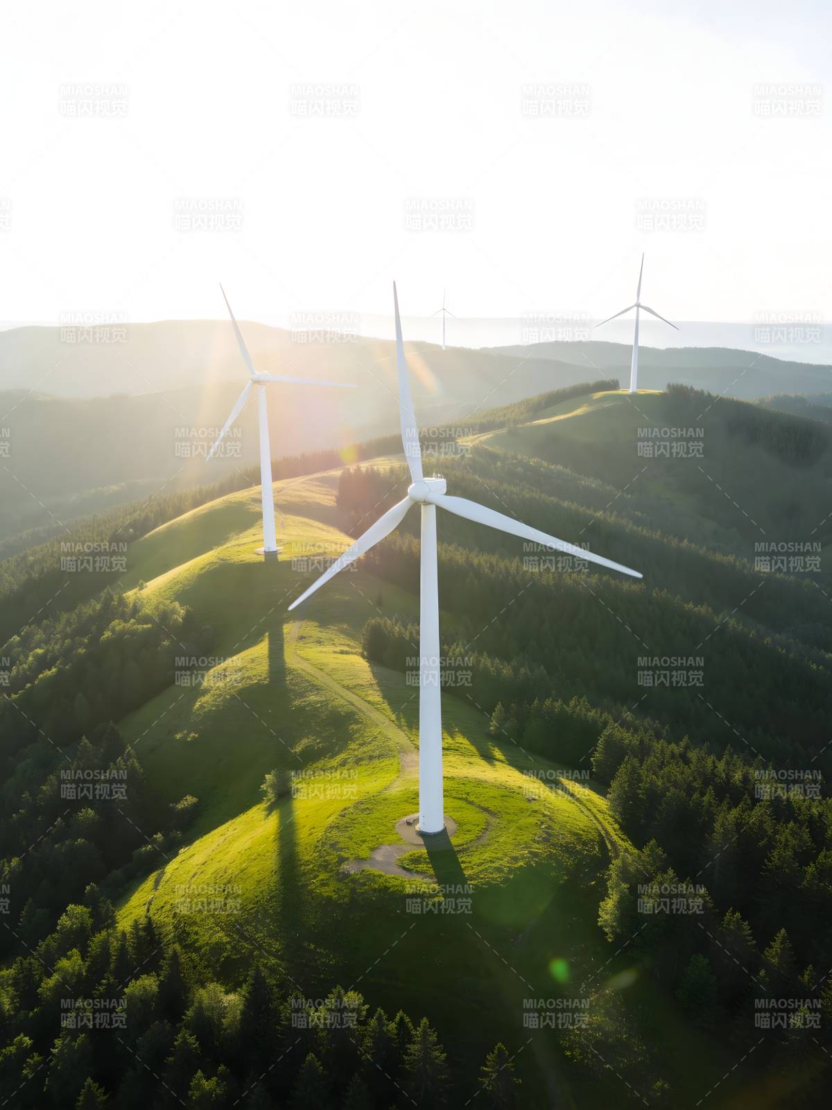 风车山景 绿意盎然图片