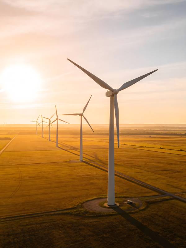 风车列阵迎朝阳图片