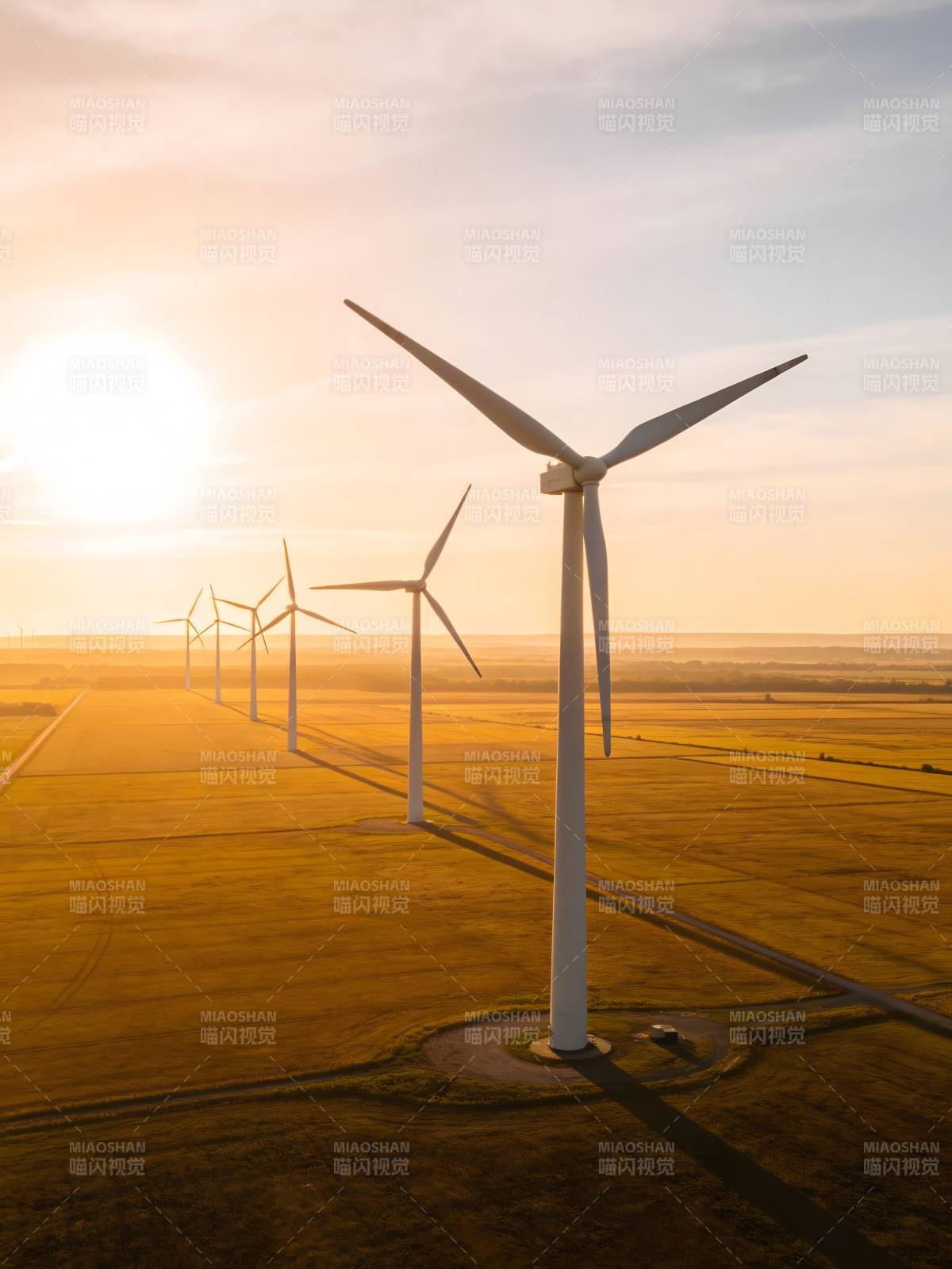 风车列阵迎朝阳图片