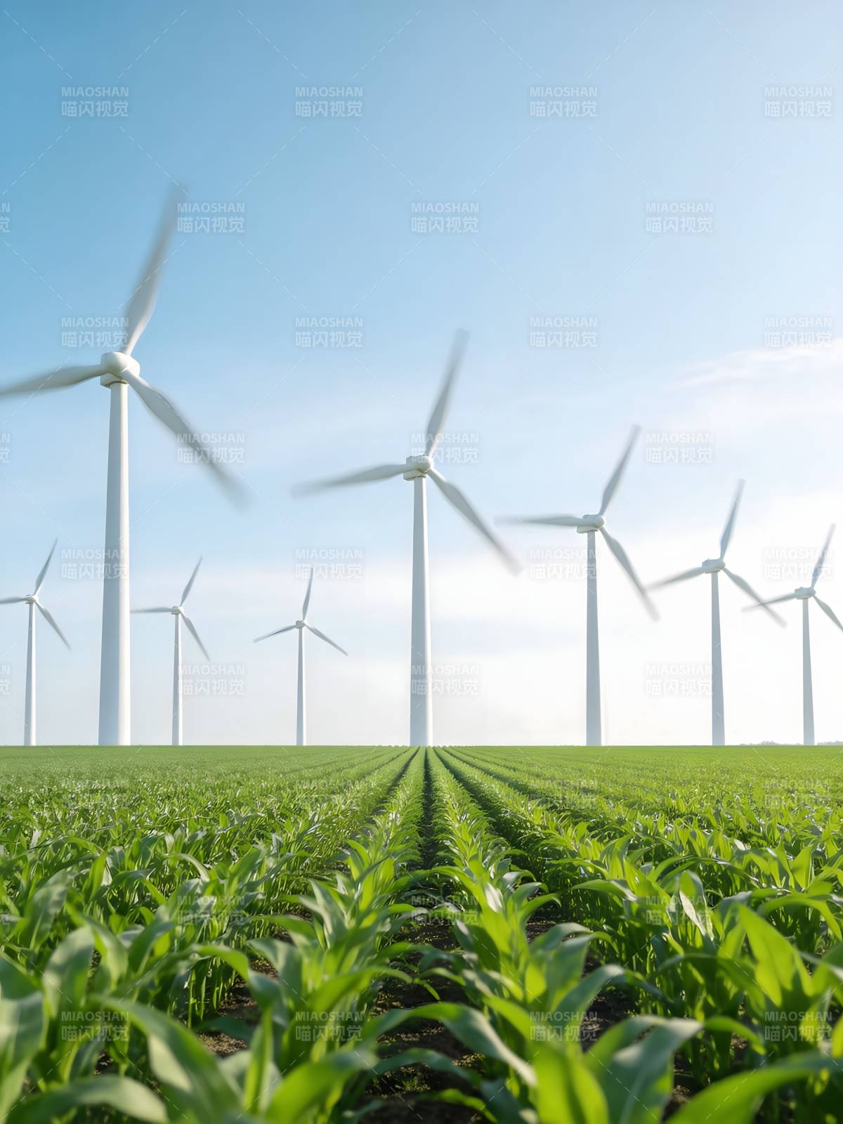 风车绿野 蓝天共舞图片