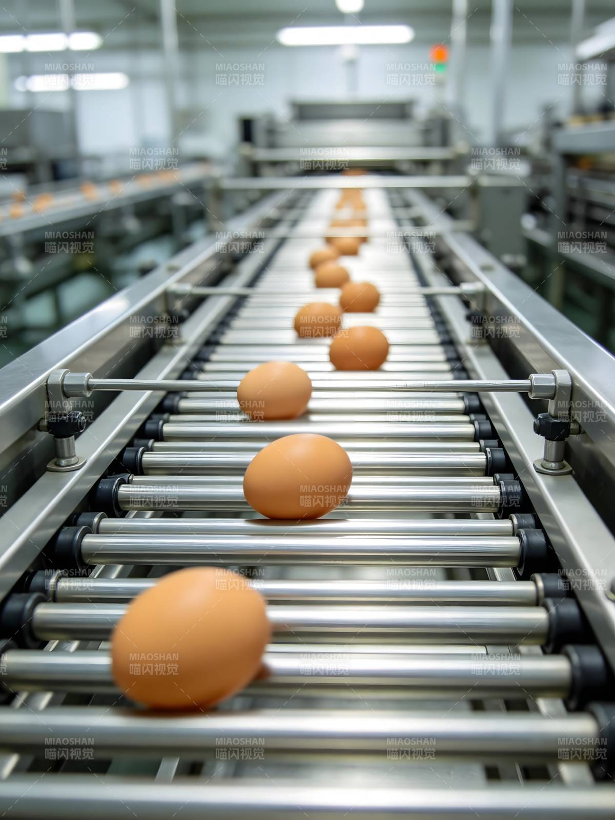鸡蛋流水线生产图片