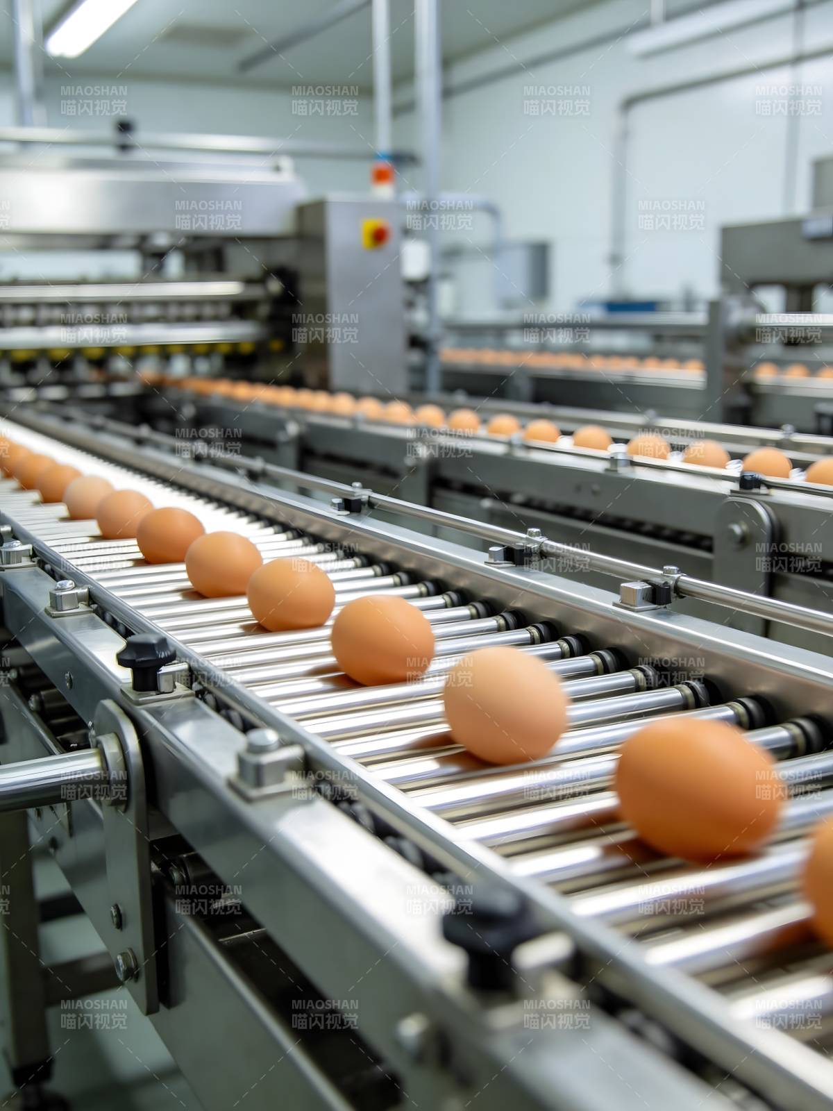 鸡蛋生产线图片