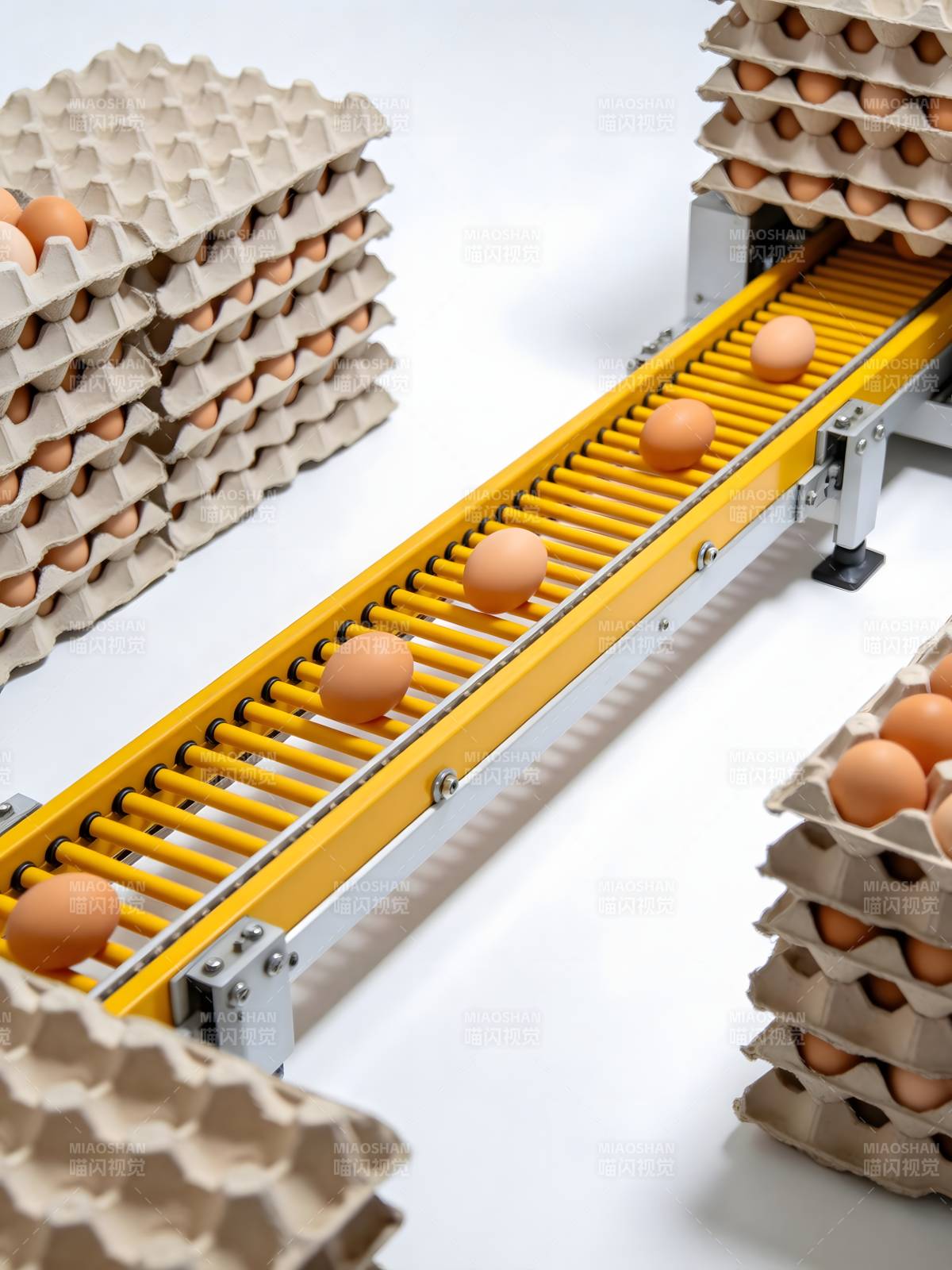 鸡蛋输送线图片