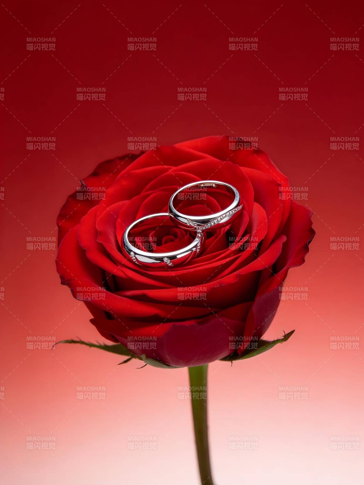 玫瑰上的婚戒图片