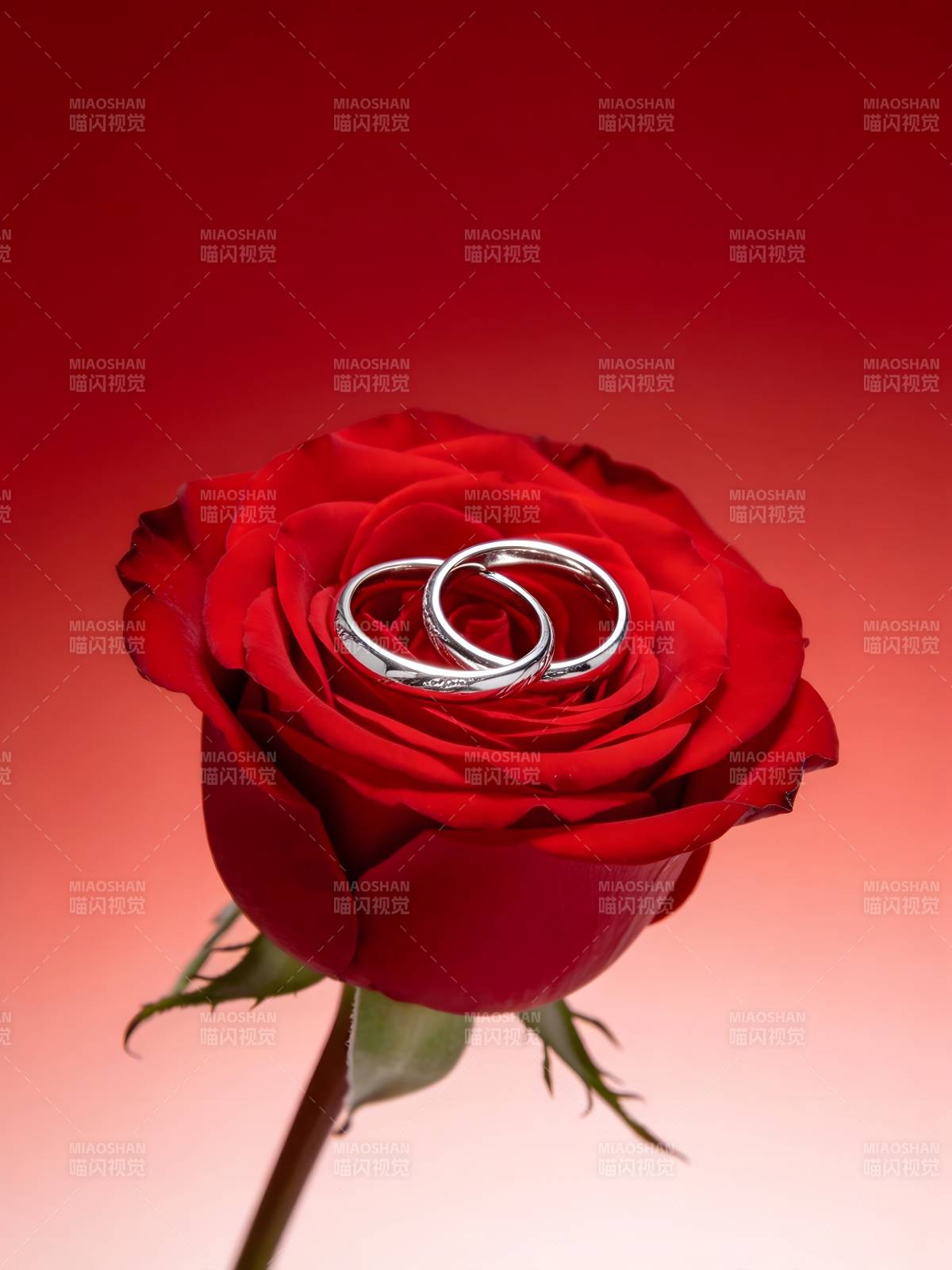 玫瑰上的婚戒图片