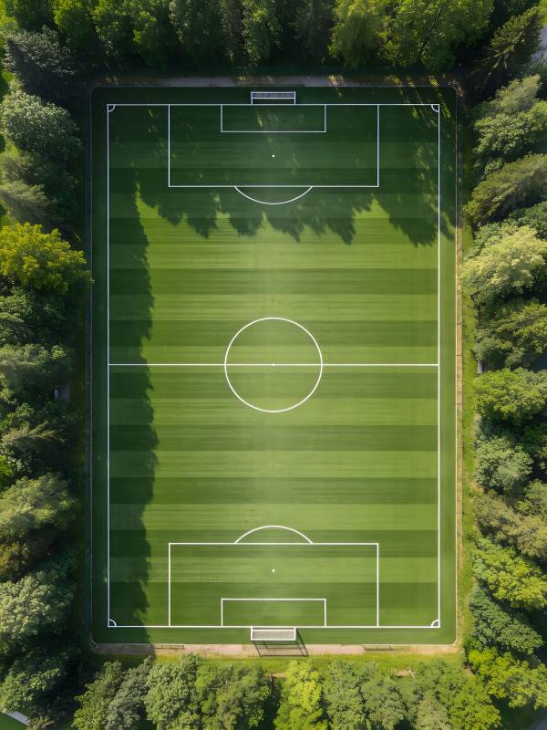 绿茵场俯瞰图图片