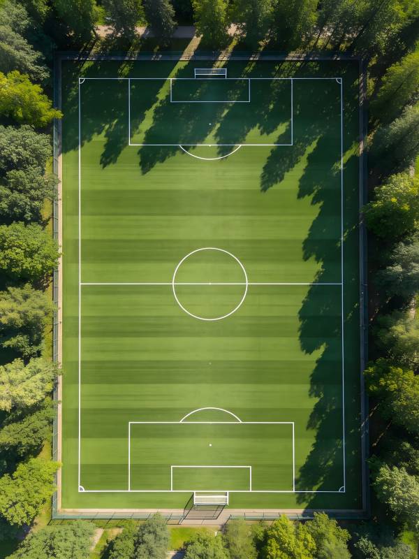 绿茵场俯瞰图图片