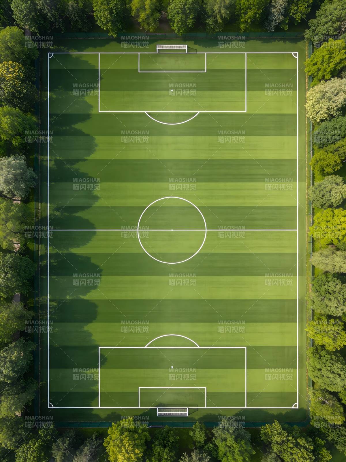 俯瞰绿茵足球场图片