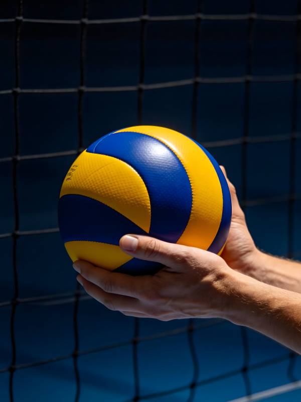 手握排球 网前准备图片