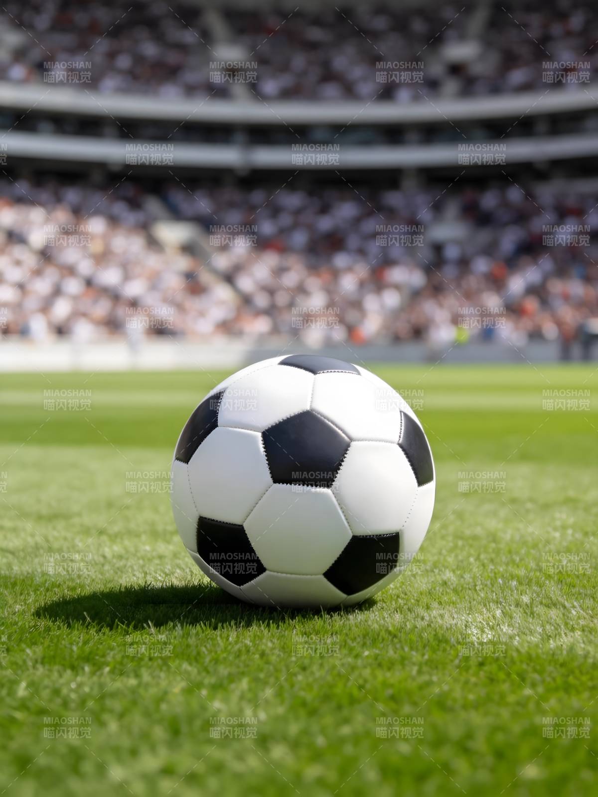 足球场上的经典球图片