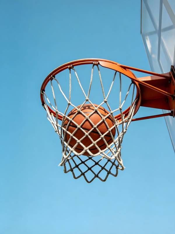 篮球入网瞬间图片