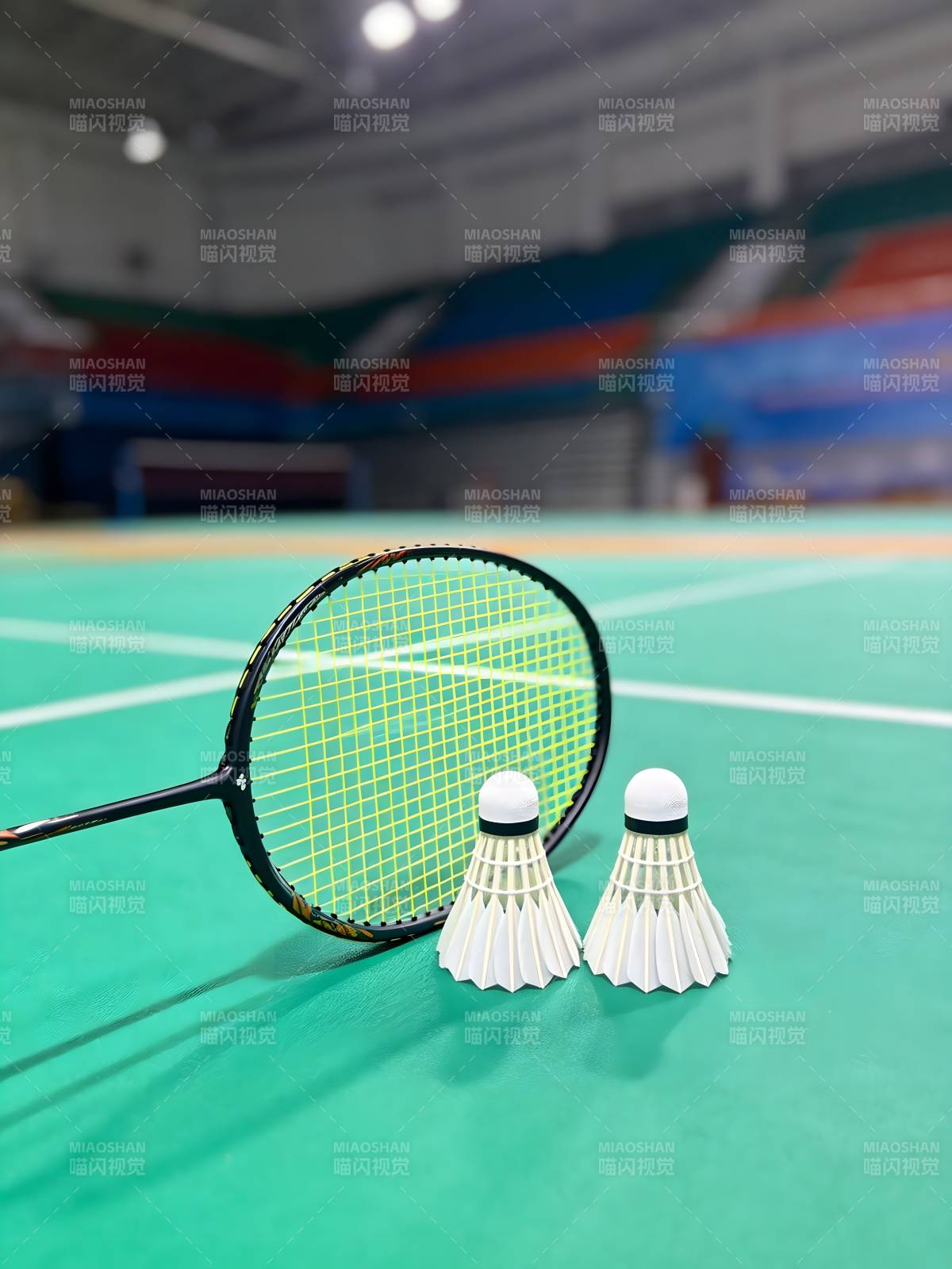 羽球拍与羽毛球图片