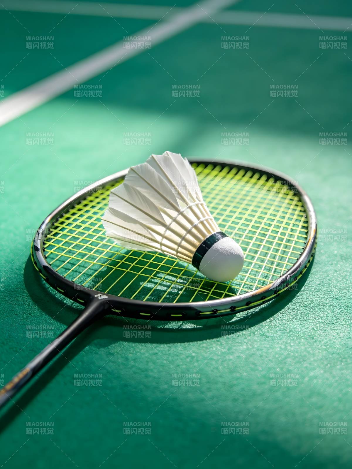 羽毛球拍与球图片