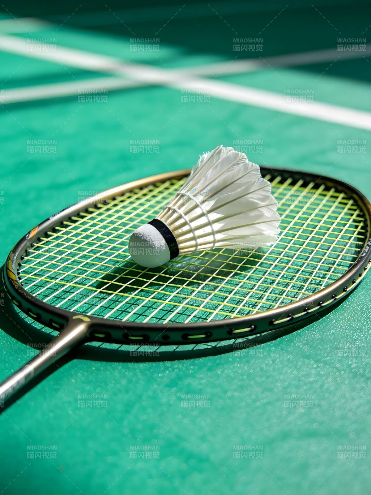 羽球静置拍上图片