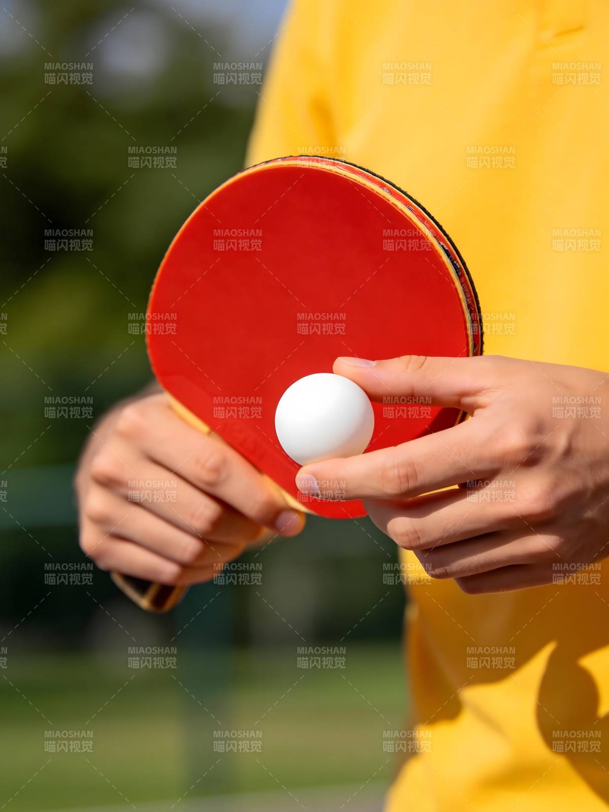 乒乓球拍与球图片