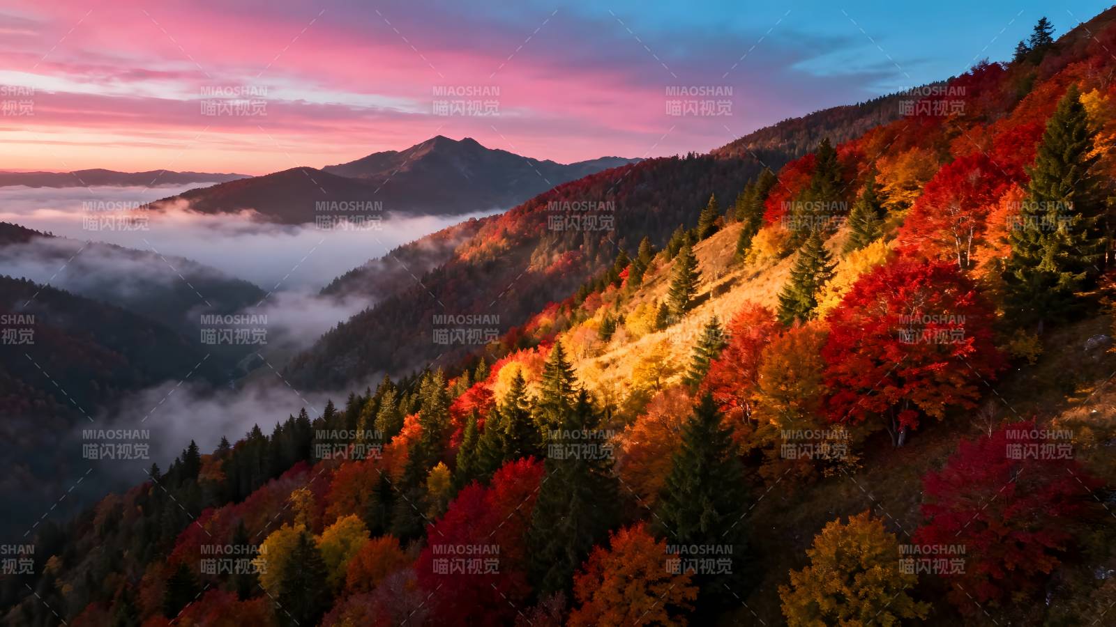 秋山云海日出图片