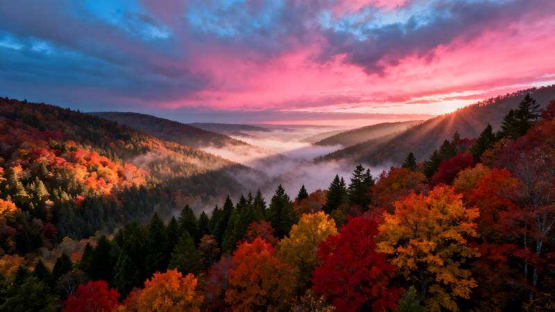 秋山晨雾日出图片