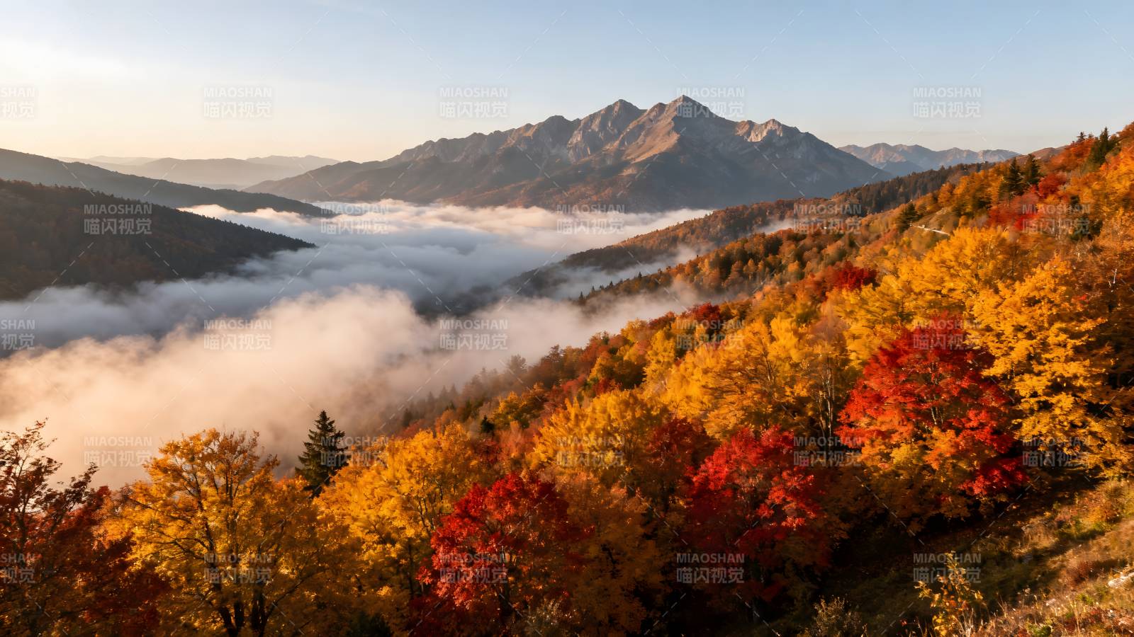 秋山云海图片