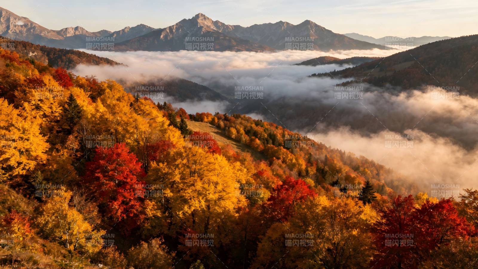 秋山云海图片