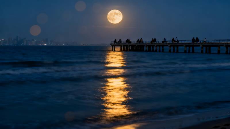 月光下的海港夜景图片