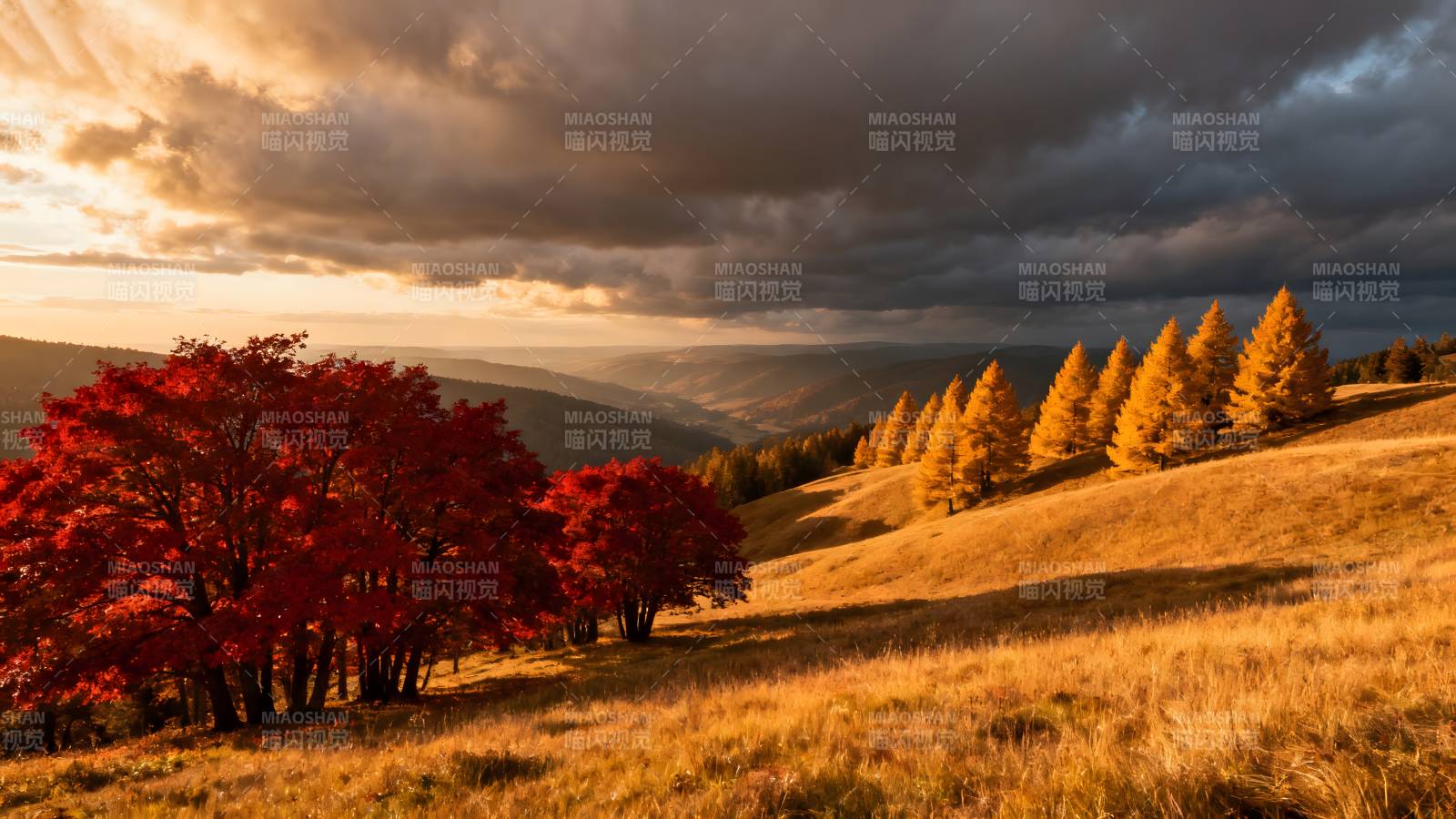 秋山红叶映晚霞图片