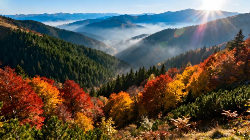 秋山晨雾美景图片