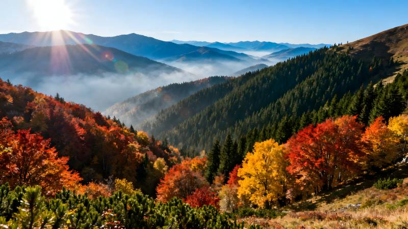 秋山晨雾美景图片