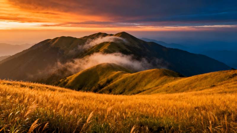 山间晨曦金草海图片