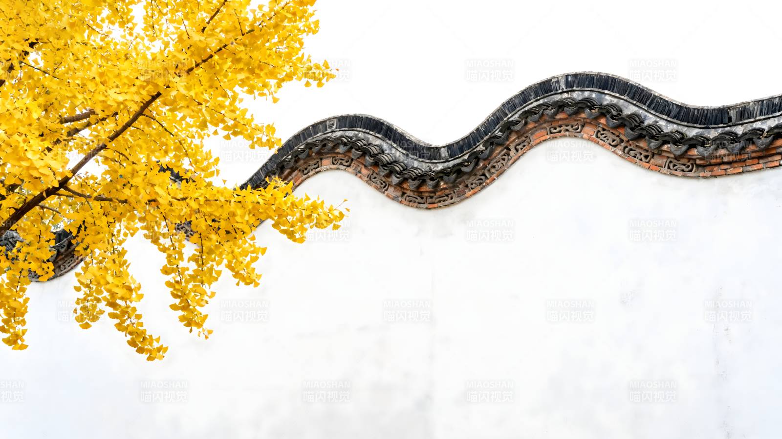 黄花映古檐图片