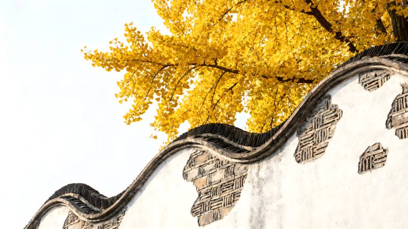 秋色映古墙图片