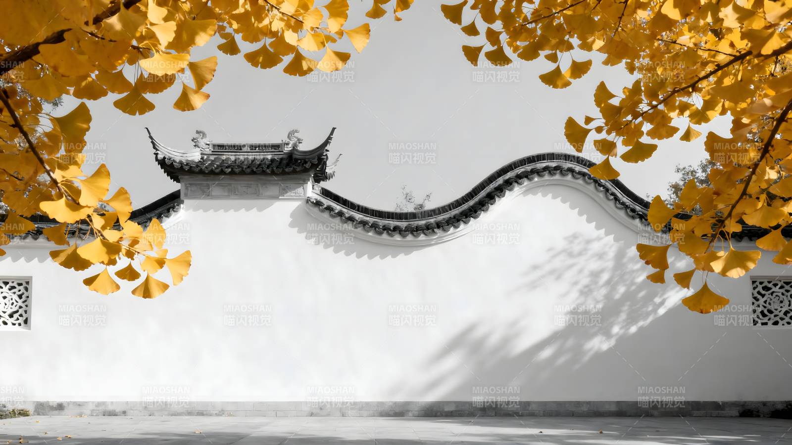 秋叶映白墙图片