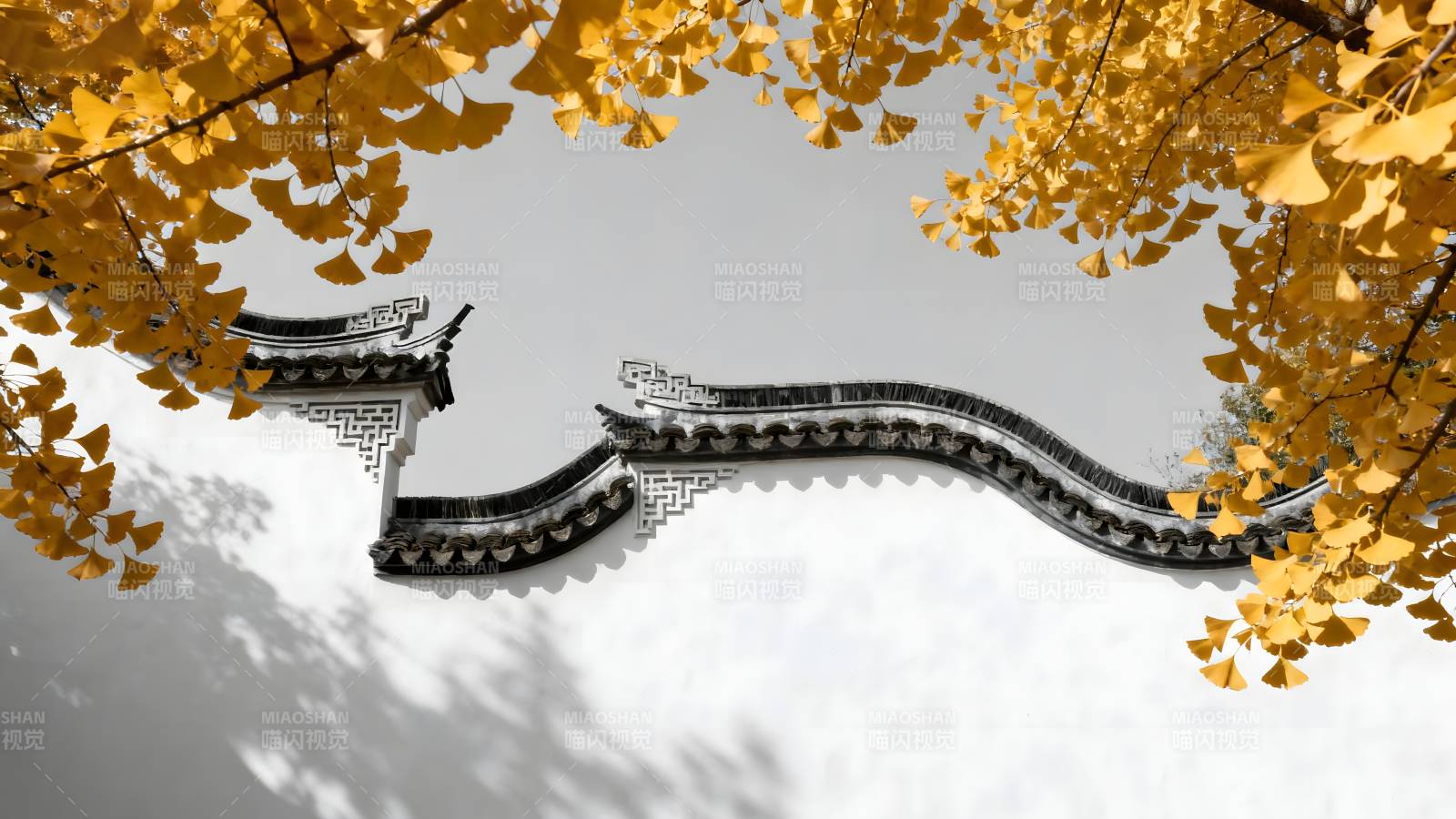 秋叶映古檐图片