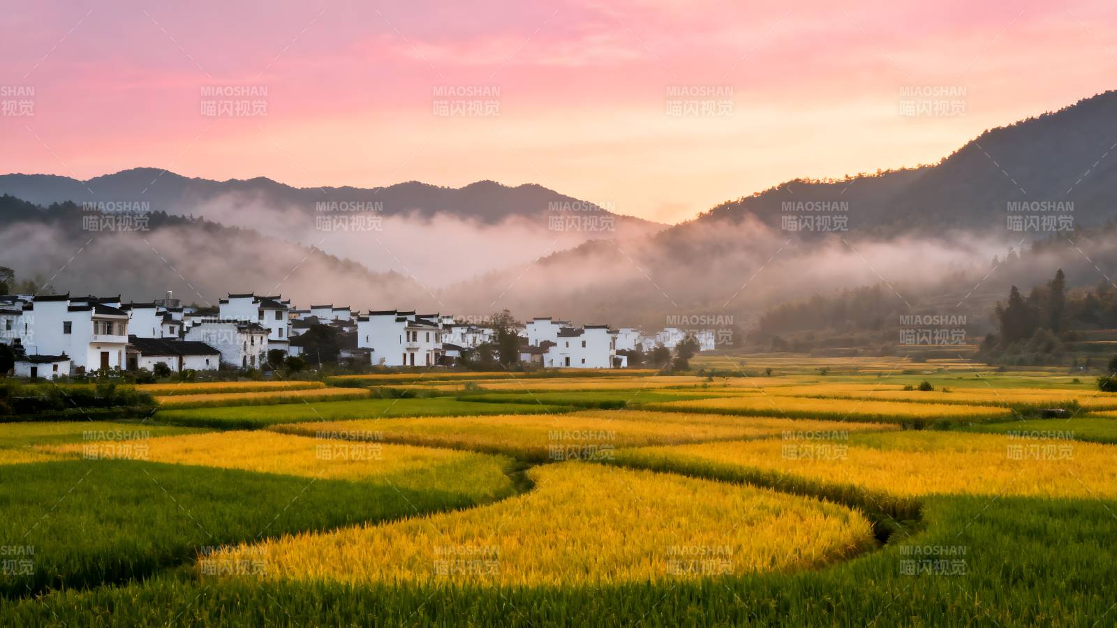 晨雾稻田村舍图片