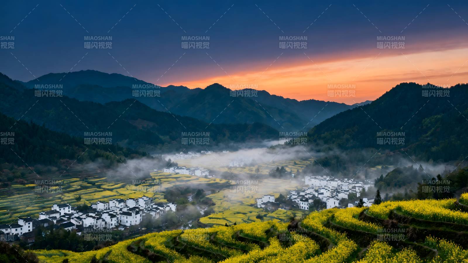 山间晨雾花海村图片