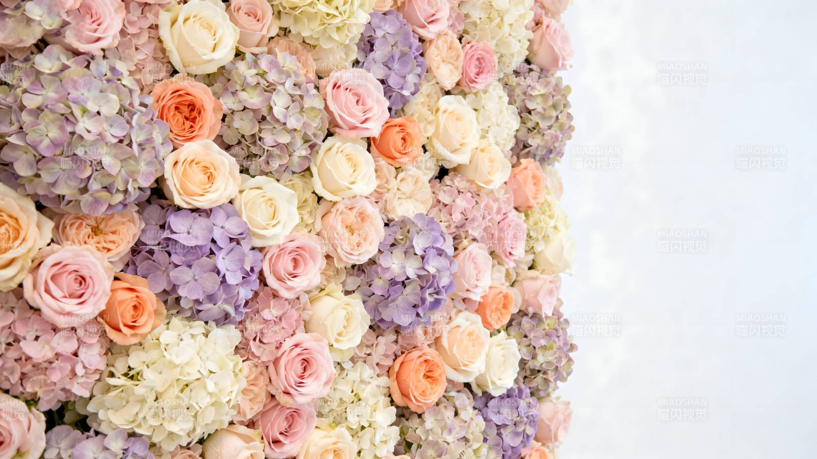 花墙浪漫绽放图片