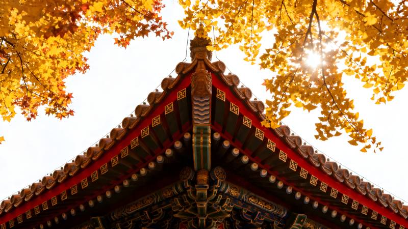 秋日古建筑之美图片