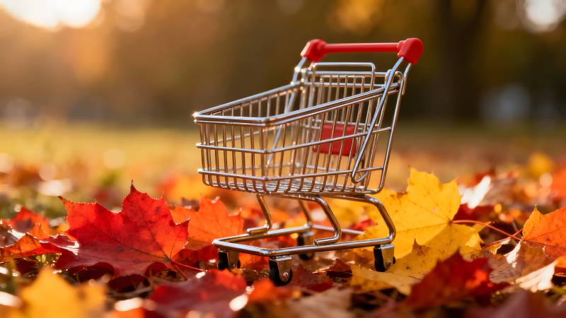 秋叶中的购物车图片