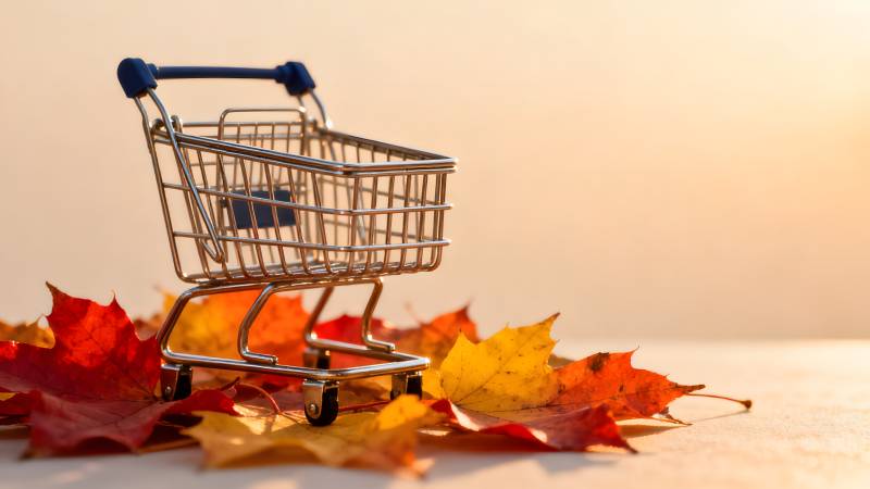 秋叶中的购物车图片