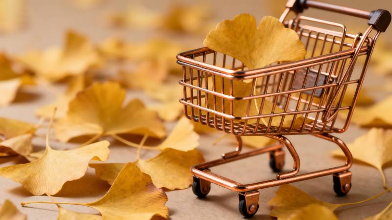 秋叶购物车图片