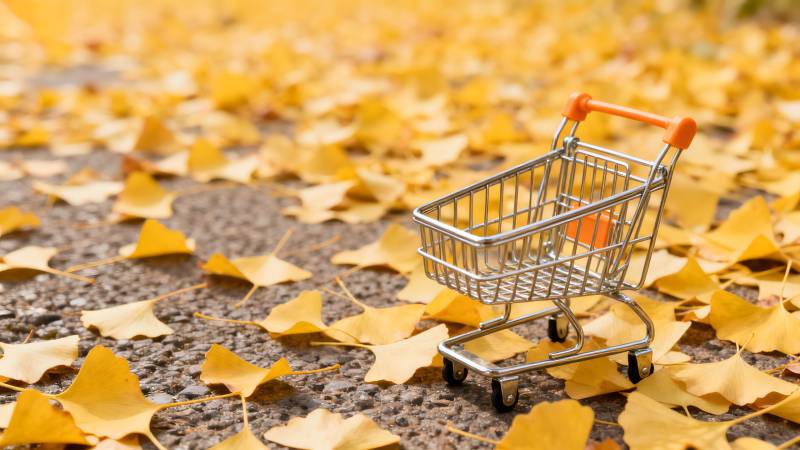 秋叶中的购物车图片