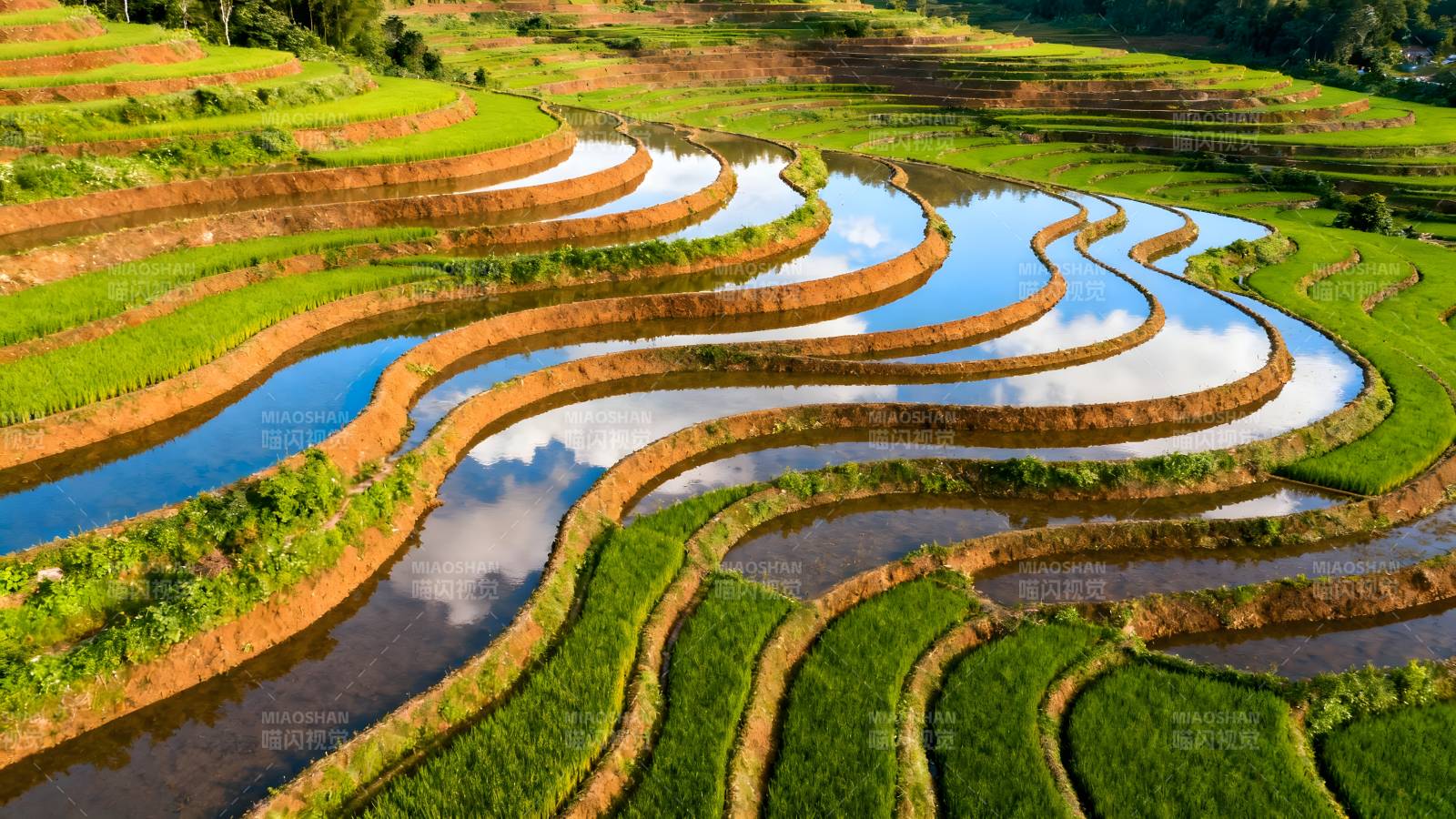 梯田如画 水天相映图片