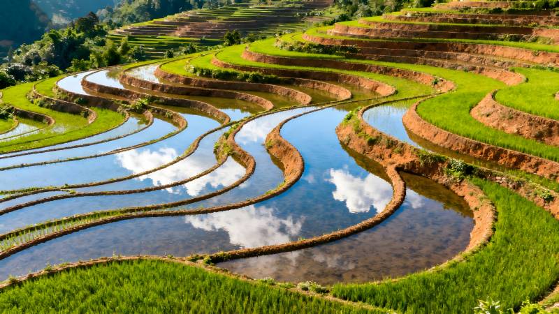 梯田如画 水天一色图片