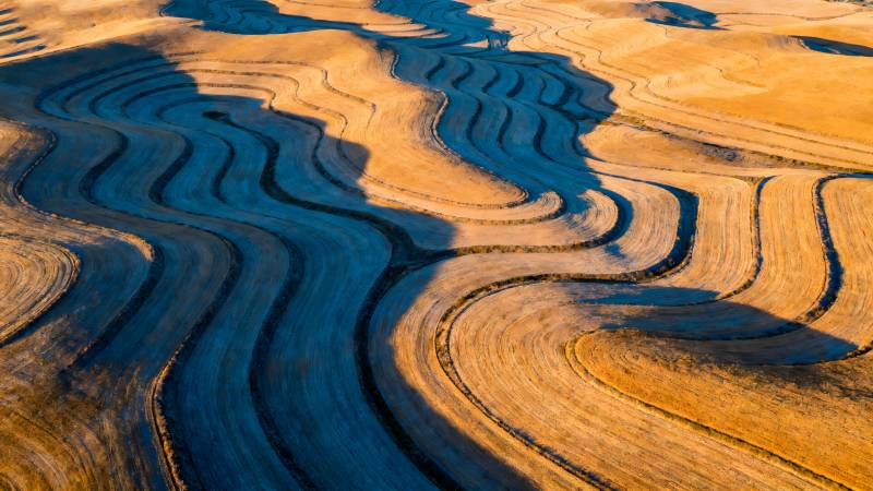 大地的波浪图片