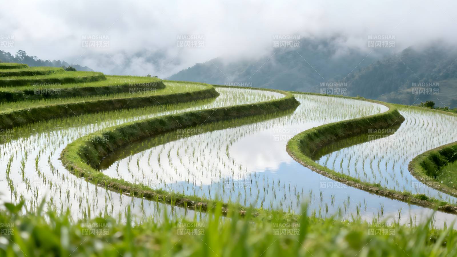 梯田如镜映青山图片