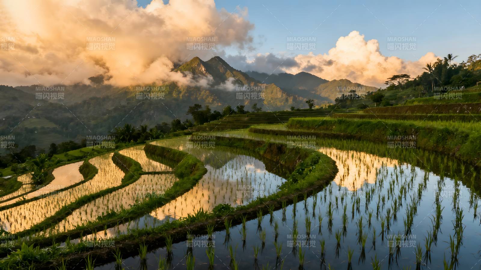 梯田晨曦山水画图片
