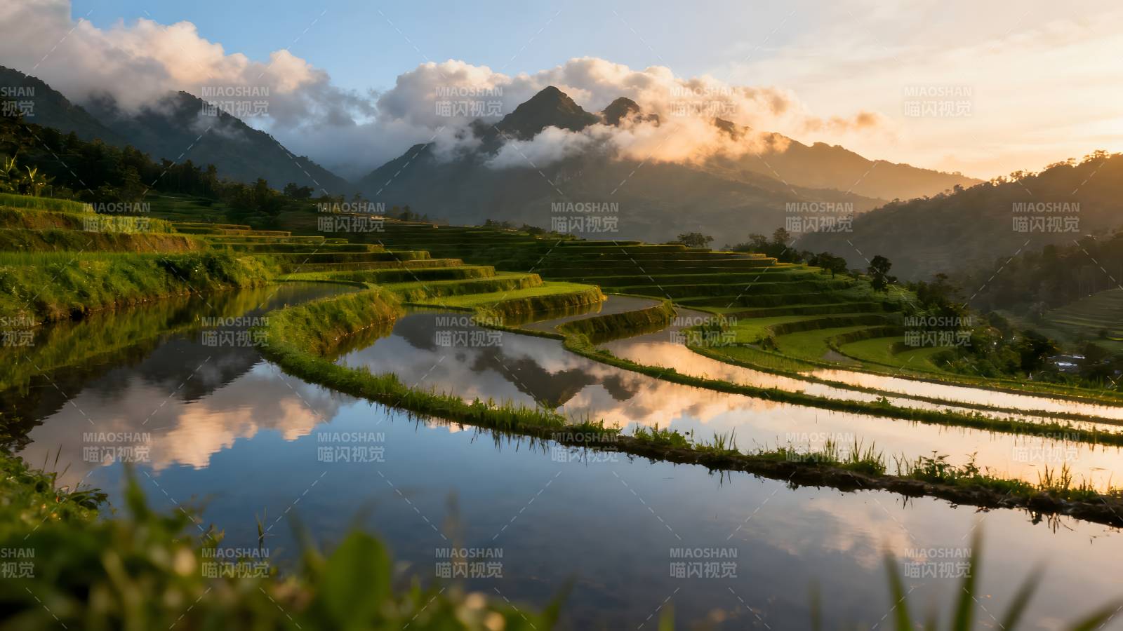 梯田晨曦映山云图片