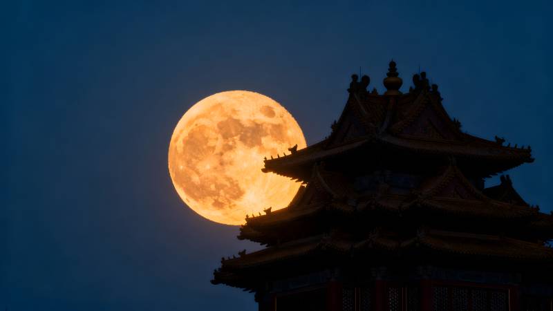 明月映古殿图片