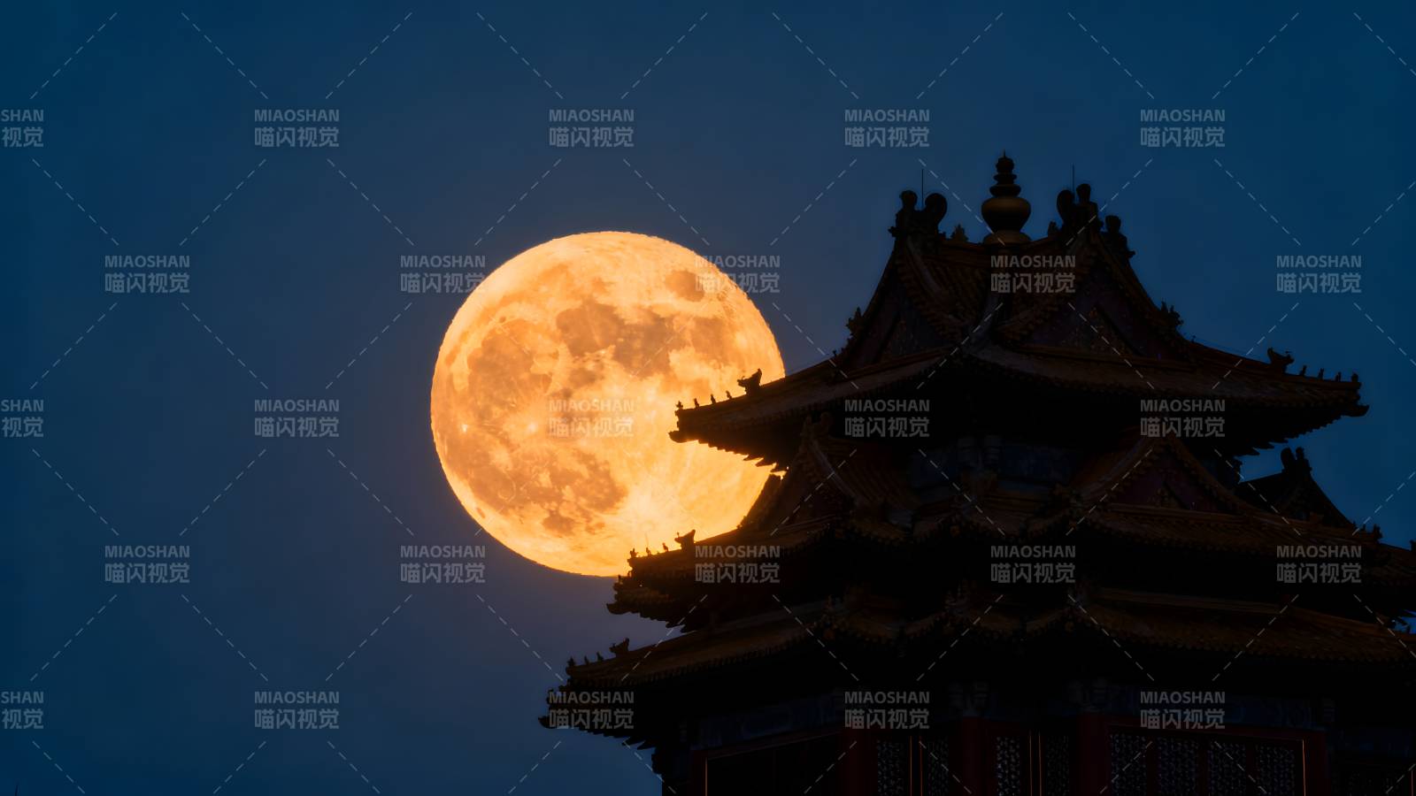 明月映古殿图片