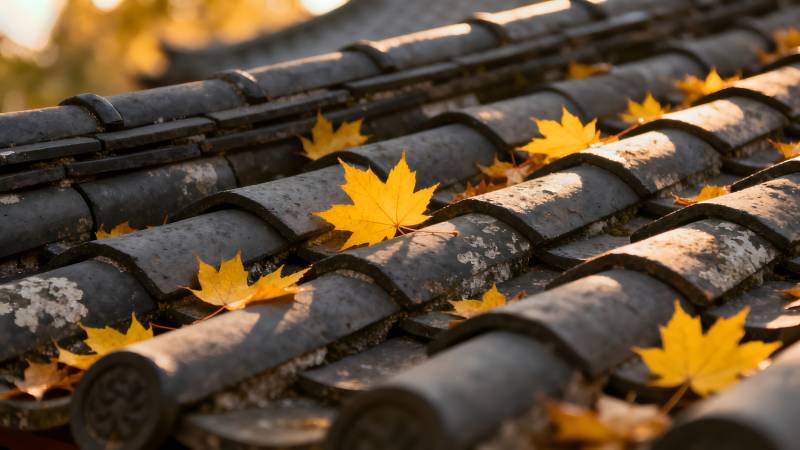 秋叶落瓦上图片