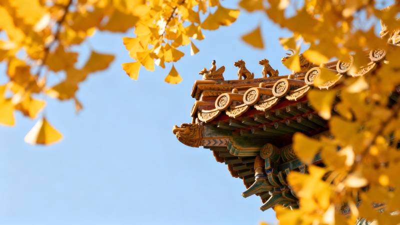 秋叶掩映古檐角图片